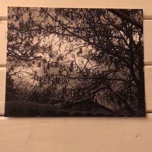 Winter in Carson City (8 X 10 B & W)